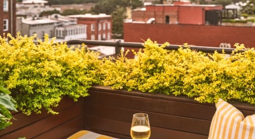 Balcony view with table of drinks and oysters