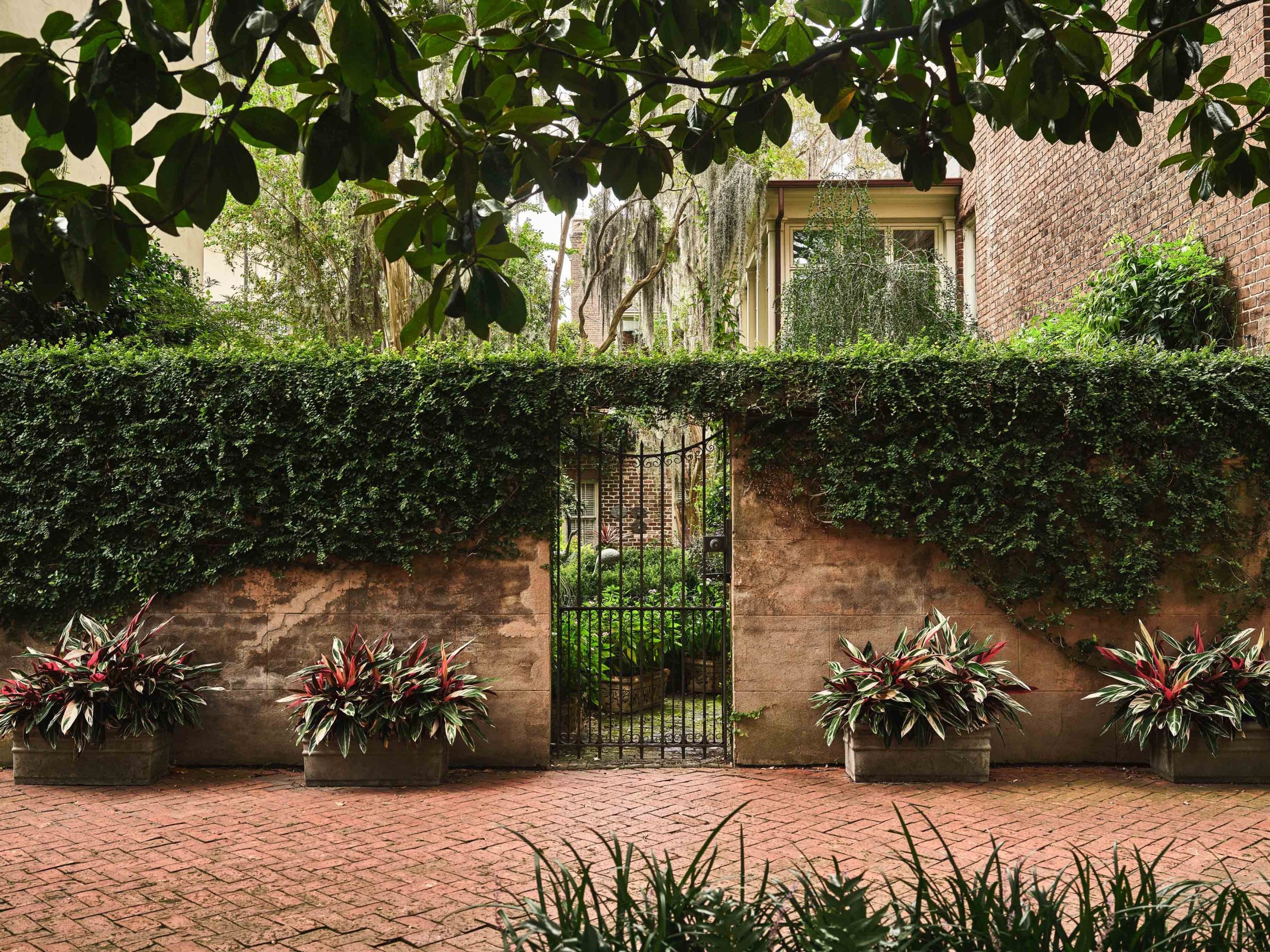 Beautiful garden gate entrance lined with potted plants